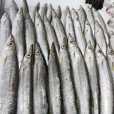 Melifa   Original    مليفا الاصلية